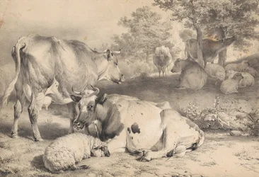 Sheep and Cattle