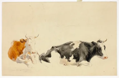 Two Recumbent Cows (recto); Sketch of Standing Cow (verso)