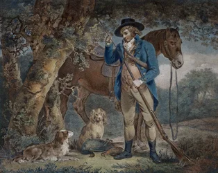 Woodcock and Pheasant Hunting