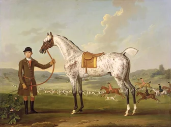 Scipio, Colonel Roche
