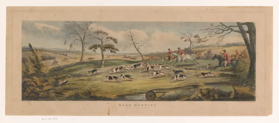 Pack of Beagles Hunting a Hare