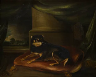 A Favourite Terrier on a Red Cushion