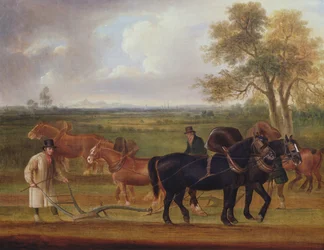 The Ploughing Match