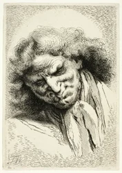Head of an Old Man Sleeping