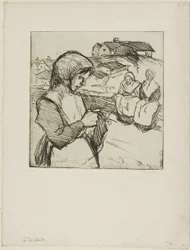 The Knitter