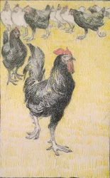 Cockerel, followed by black and white Hens, 1899