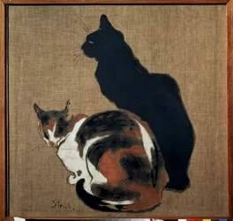 Two Cats