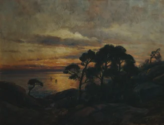 Pine Tree at Sunset