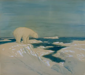 Polar Bear