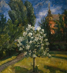 Summer Day