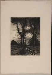Rutted Road Between Trees