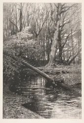 Forest Landscape with a Stream