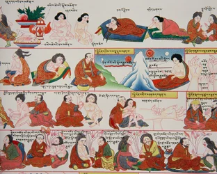 Manuscript on Tibetan Medicine (detail)