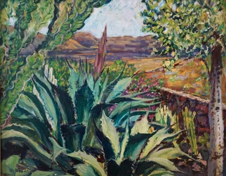 Lanzarote Landscape