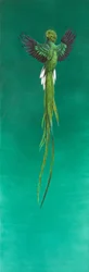 Quetzal