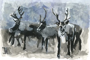 Three Reindeer in Winter