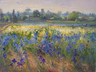 Blue Haze at Burgate