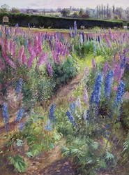Delphiniums and Hoers, 1991