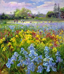 Hoeing Team and Iris Fields