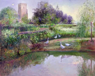 Sundown Reflections