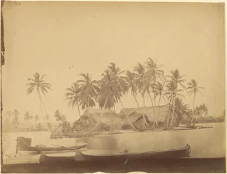 Limón Bay, Isthmus of Darién (Panama)