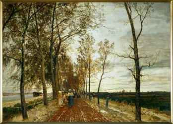 Avenue near Amsterdam - road with trees near Amsterdam