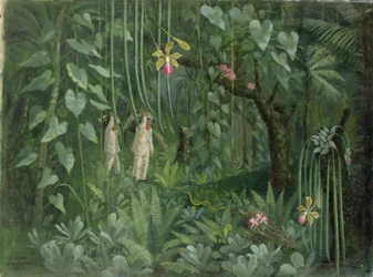 Orchid Hunters of Brazil