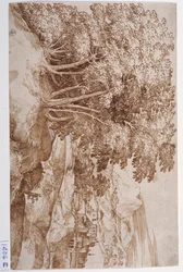 Landscape with trees on the left and a city in the background