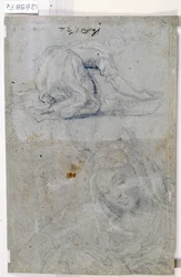 Studies of the Virgin
