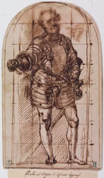 Study for the Portrait of the Duke of Urbino