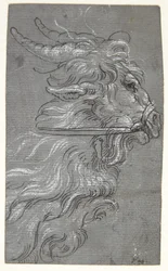 Head of a Goat