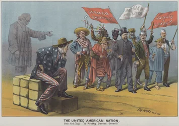 The United American Nation, Satire on the Diversity of Immigrants in 19th Century American Society