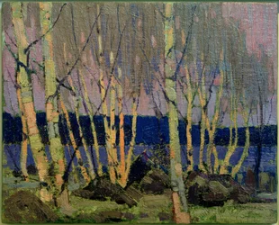 Evening, Canoe Lake