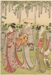 Admiring the Wisteria at Kameido Shrine
