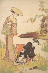 The Iris Garden