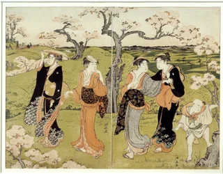 Picnic Under Cherry Blossoms in Assaakayama