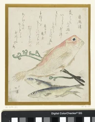 Three Fish and Eagle Fern