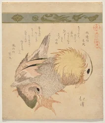 Pair of Mandarin Ducks