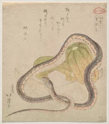 Snake Entwined with Gourds