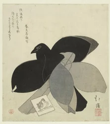 Two Kites