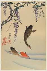 Three carp
