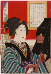 Mirror of Human Nature: the Photograph, Meiji era, 1878