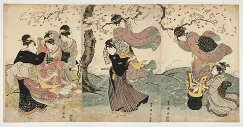 Flowers in the Wind