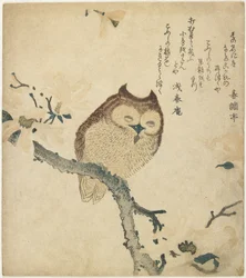 Owl, early 19th century