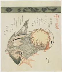 Mandarin Duck and Drake, c. 1830