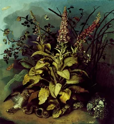 Still Life