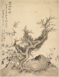 Frosted Branches and Dwarf Bamboo