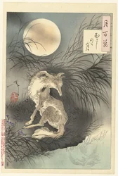Moon of Musashi