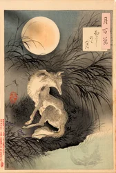 The Moon on Musashi Plain (Musashino no tsuki) - from the series One Hundred Aspects of the Moon