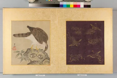 Album of Hawks and Calligraphy